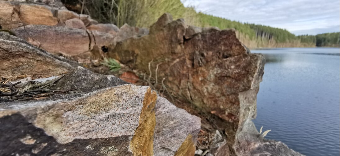 Felsen am Ufer der Saidenbachtalsperre mit Granat-Glimmer-Gneis