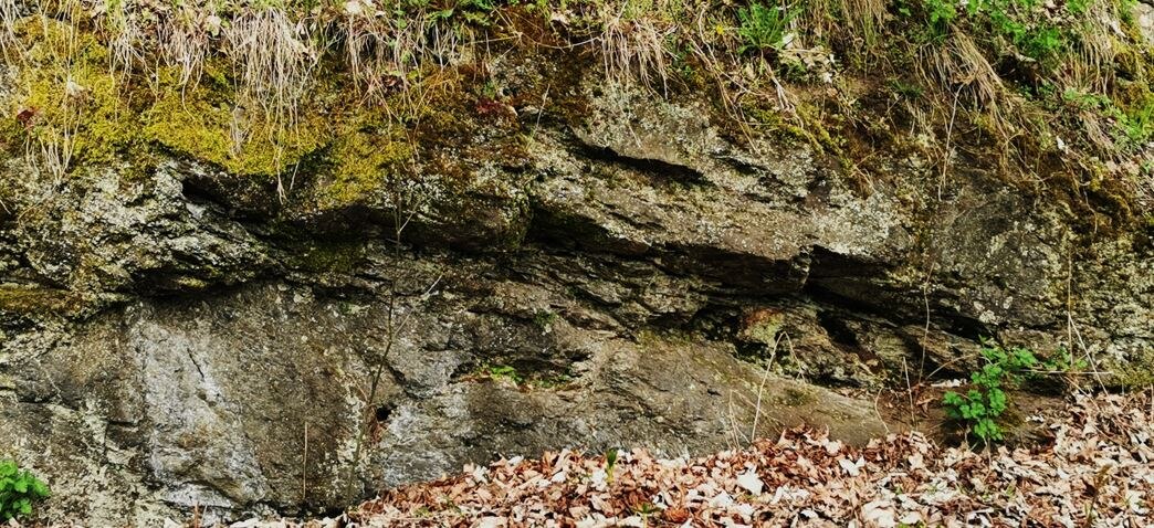 Kalkstein mit Störung