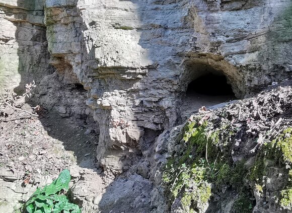 Der Zechstein Geologie Sachsen De