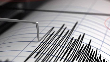 Nadel eines Seismographen Nadel eines Seismographen