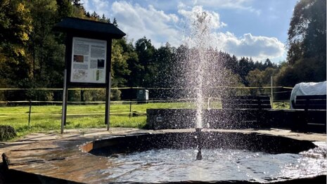 Artesischer Thermalbrunnen Neumühle